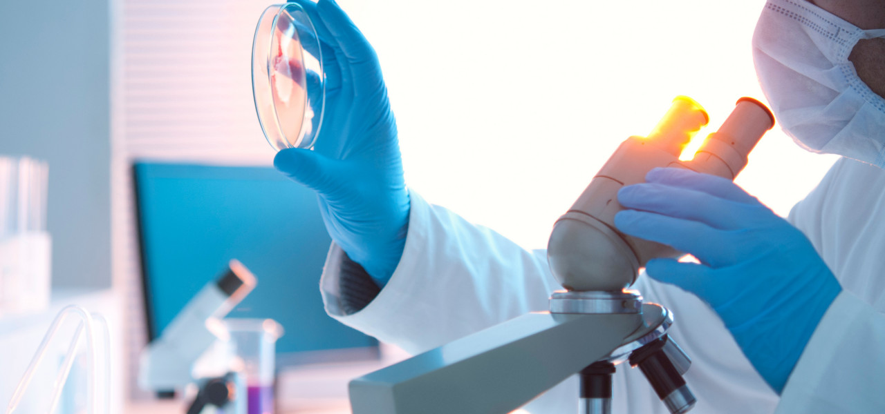 Disinfettante Per Superfici DE3033 - 10 Litri, Per Cucina, Piani Di Lavoro, Elettrodomestici E Aree Sanitarie